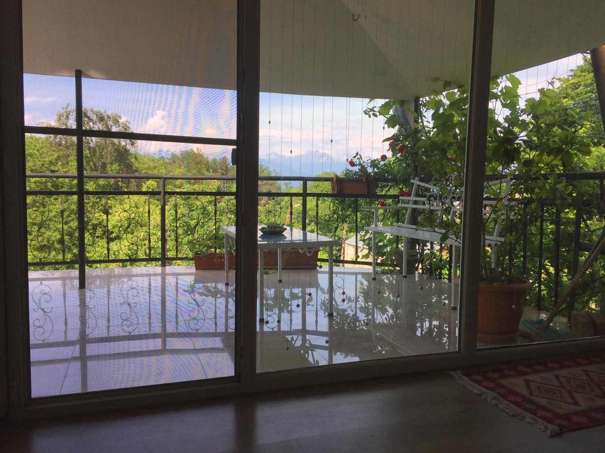 Nino'S Veranda Apartment Telavi Exteriér fotografie